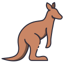 kangaroo